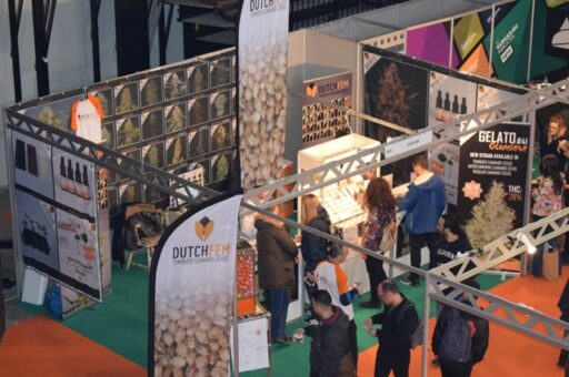 Cannabis Expo’s, Festivals and Events