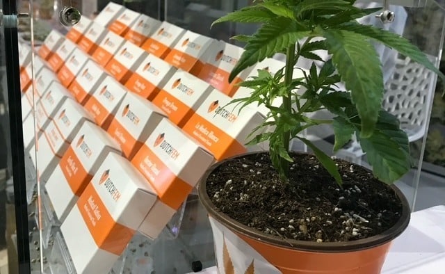 Indica Sativa International Hemp Fair Bologna 2019 - Italy Indica Sativa International Hemp Fair Bologna 2019 - Italy