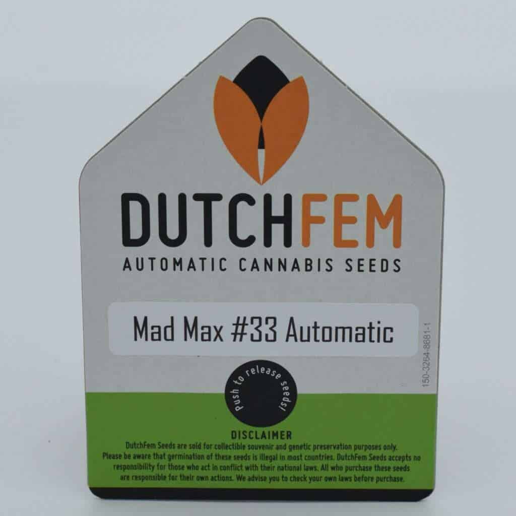 Autoflowering Cannabis Seeds
