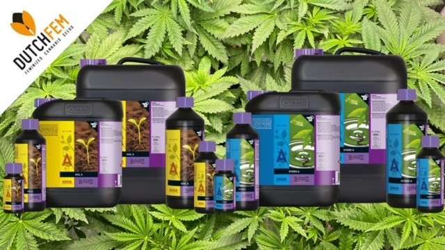 Do Autoflowering Plants Need Nutrients?