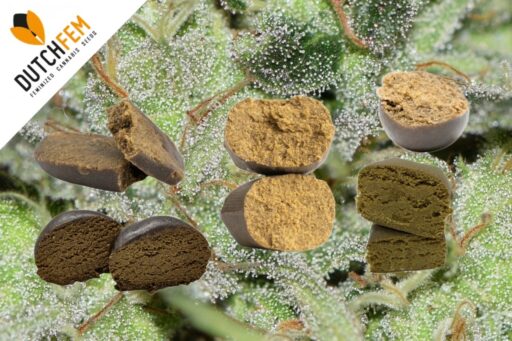 Οδηγός για τη δημιουργία κατακερματισμού πάγου (Ice-O-Lator)