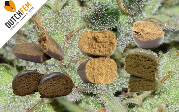 Guía para hacer Ice Hash (Ice-O-Lator)