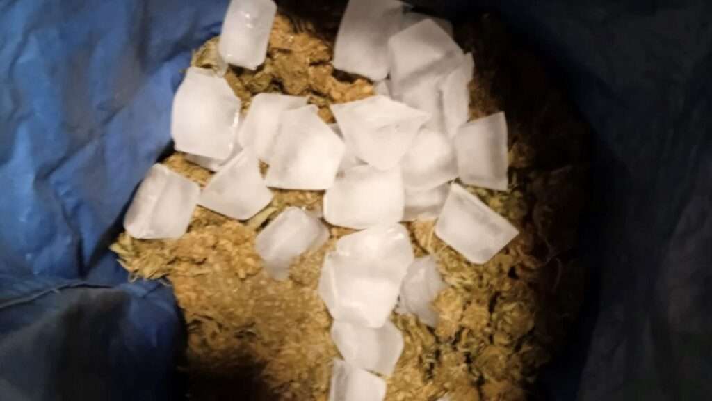 Making Ice Hash Making Ice Hash