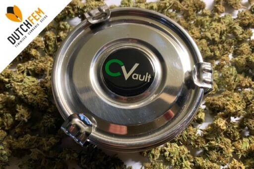 Αποτροπή μούχλας κατά την ξήρανση και ωρίμανση με το CVault