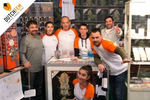 Η εξέλιξη των σπόρων Dutchfem