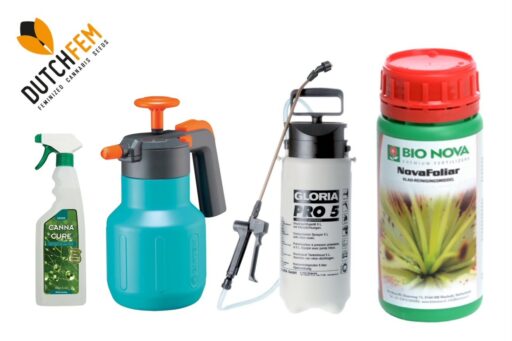 Ψεκασμοί φυλλώματος κάνναβης.