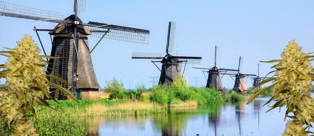 Νομιμοποίηση της κάνναβης Νομιμοποίηση της κάνναβης