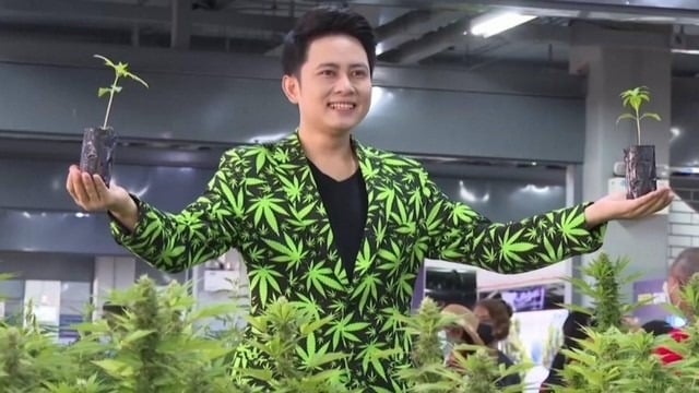 Cannabis Thailand Cannabis Thailand
