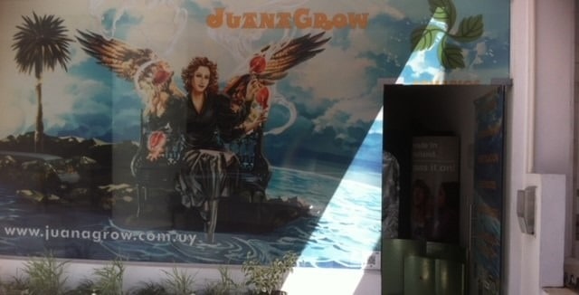 Νομιμοποίηση της κάνναβης Νομιμοποίηση της κάνναβης