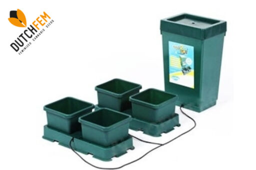 ideal container Size