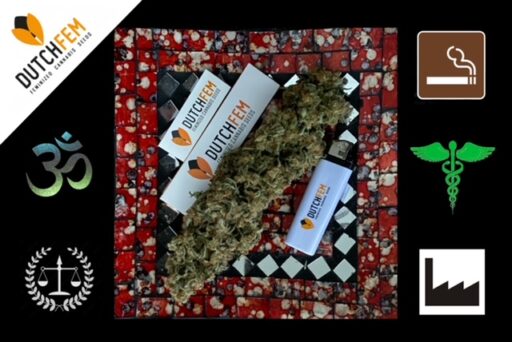 Για ποιο λόγο χρησιμοποιείται η κάνναβη