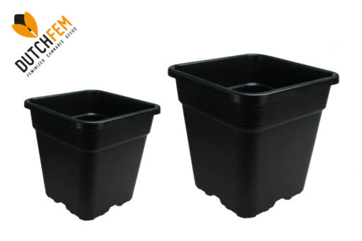 Ποιες είναι οι καλύτερες γλάστρες για την καλλιέργεια κάνναβης;