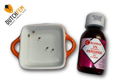 Germinating Cannabis Seeds with Hydrogen Peroxide