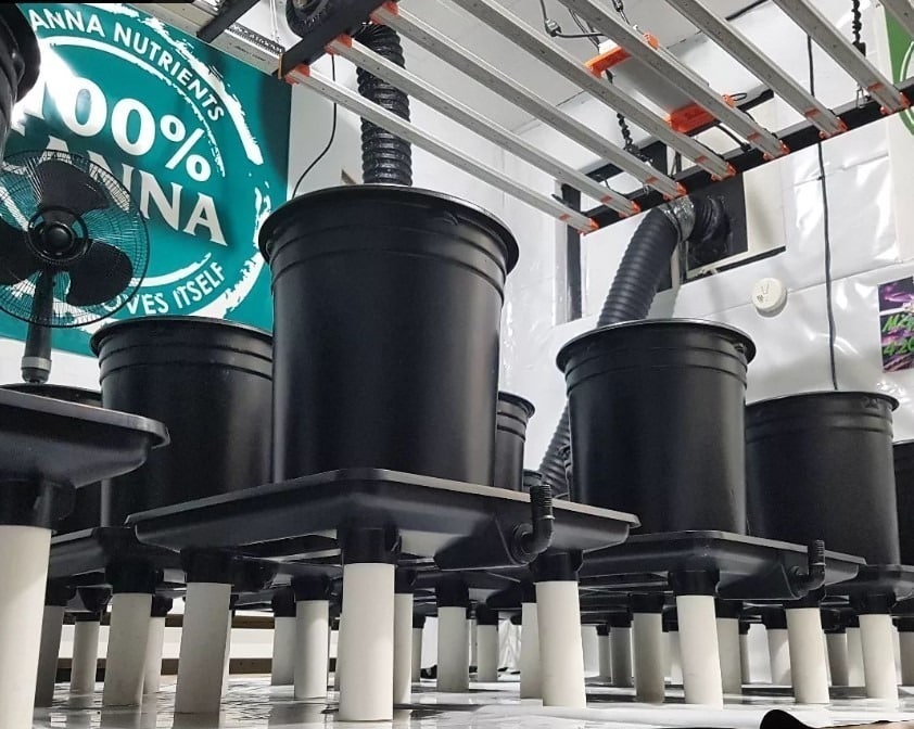 Απολύμανση της σκηνής καλλιέργειας Απολύμανση της σκηνής καλλιέργειας