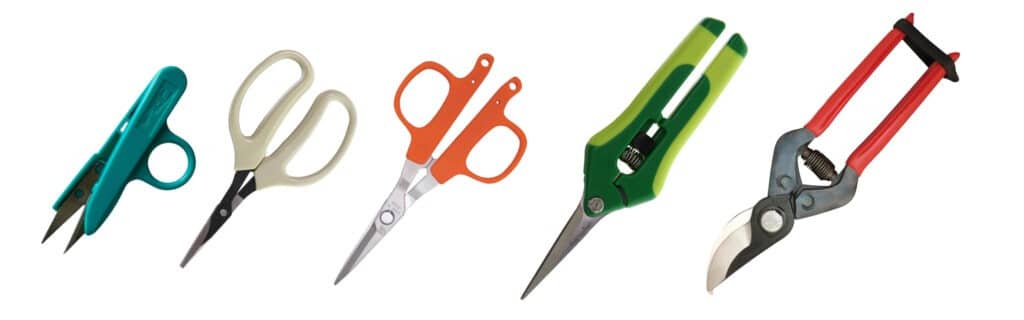 Τι χρειάζεστε για την καλλιέργεια κάνναβης σε εσωτερικούς χώρους Τι χρειάζεστε για την καλλιέργεια κάνναβης σε εσωτερικούς χώρους