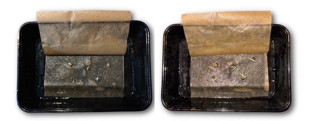 Germinating cannabis seeds Germinating cannabis seeds