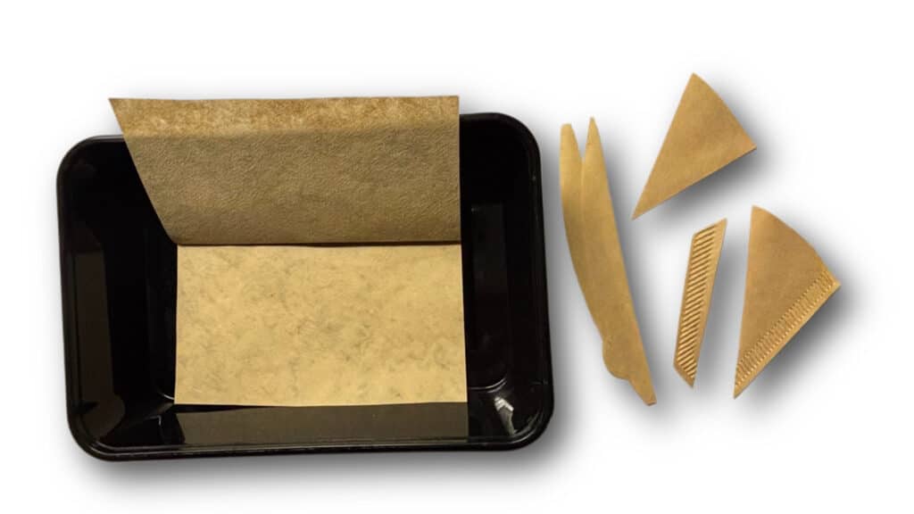 cannabis seeds cannabis seeds