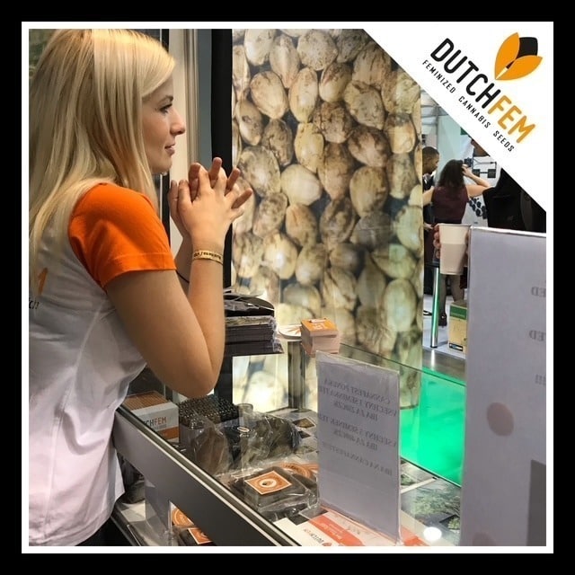 Cannafest Prague 2018 Cannafest Prague 2018