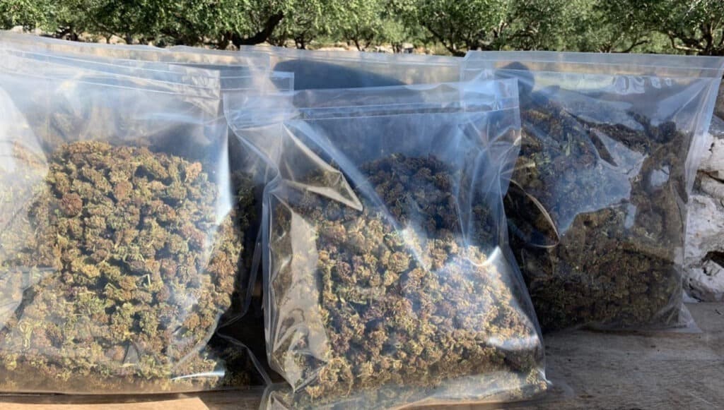 smokeable hemp