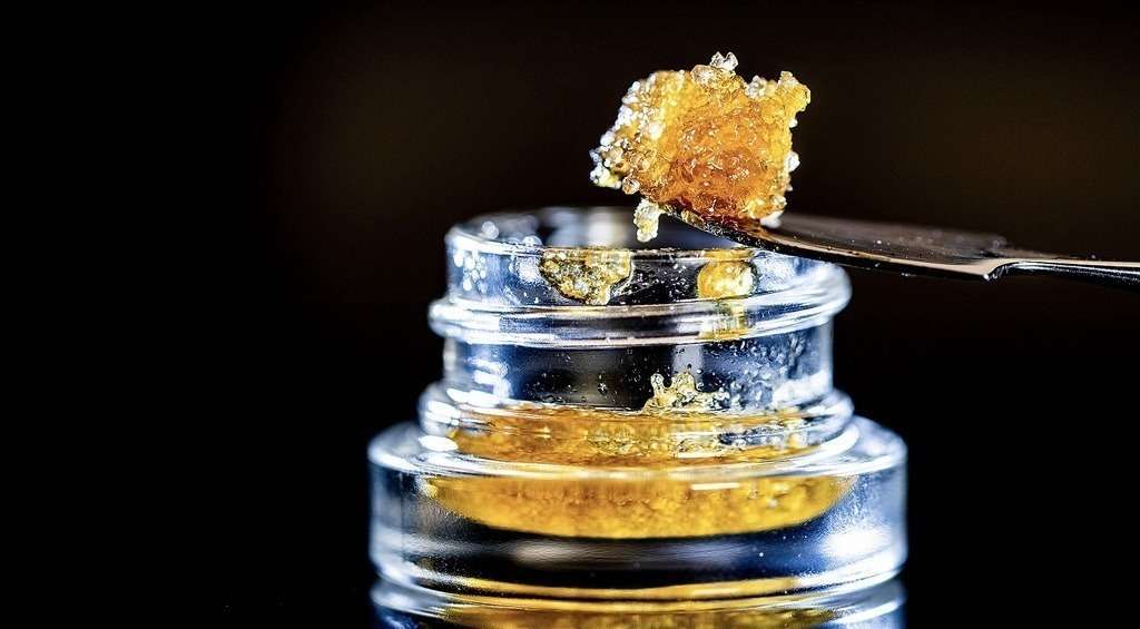 semillas de cannabis semillas de cannabis