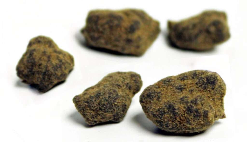 cannabis seeds